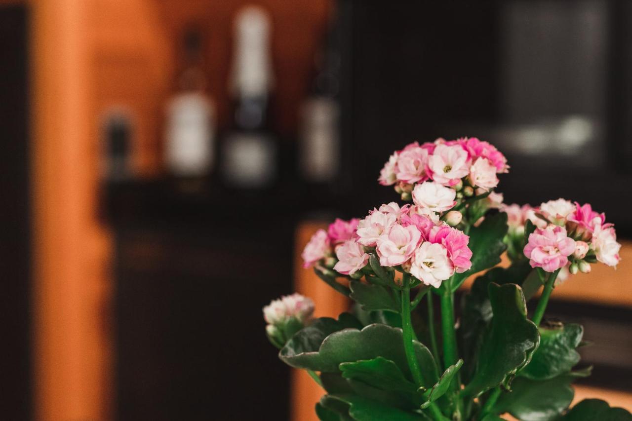 Chale Romantico Com Banheira De Hidromassagem E Lareira Bom Retiro  Ngoại thất bức ảnh